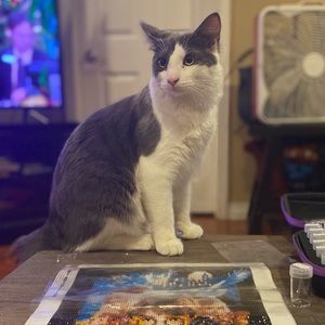 Meet your Posher, Carlos